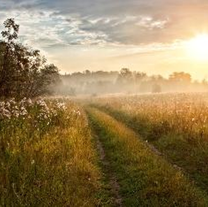 19 ноября, четверг